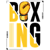 Boxing Boxer Boxing Glove Logo