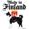 Bärenhund Finnland 04