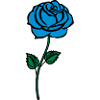 blue__rose