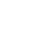 Stegosaurus
