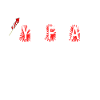 Fireworks Pyrotechnician