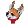 Chihuahua de noël