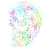 Wild psychedelic lion