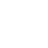 Boston Terrier