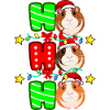 Cochon d'Inde Noël