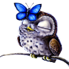 Owl and butterfly