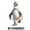 Penguin be yourself
