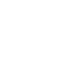 Scottish Terrier Dog