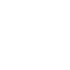 Scottish Terrier Dog