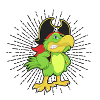 Pirate - pirate - parrot
