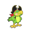 Pirate parrot