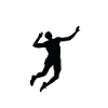 volleyball