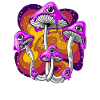 Psilocybin Magic Mushrooms Psychedelic Eyes