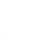 Rand BC Collie Text