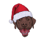 Noël au Labrador