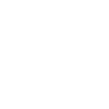 poodle
