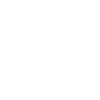 Vinyl DJ