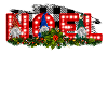 Noel Gnome