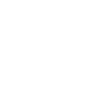Pitbull