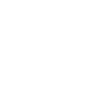 Briard