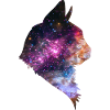 Space cat cat space