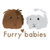 Harige baby's harige cavia's