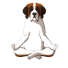 Saint Bernard
