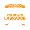 Labrador