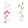 BIOLOGY: Cellular Level