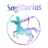Zodiac Sagittarius Sagittarius