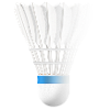 Badminton badminton