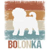 Bolonka Zwetna dog gift