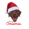 Labrador Noël