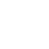 Akkordeon Evolution
