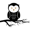 owl_02