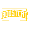BoostCat Turbolovers