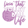 volley-ball