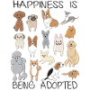 Cute Pet Shelter Dog Gift