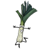 leek