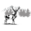 Hirsch