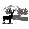 Hirsch
