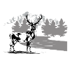Hirsch