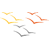 A flock of birds
