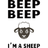 Sheep / Sheep: Beep Beep