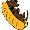 Hot dog Dachshund