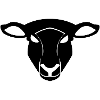 black sheep of the scapegoat family sheep lamb