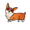Cooler Corgi