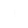 Appenzeller Chiens Promener Évolution Cadeau