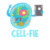 Biology cell