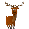 Reindeer